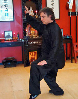 Ten Tigers Kung Fu Academy Tai Chi Tao Yoga Classes