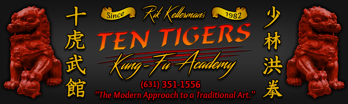 Ten Tigers Kung Fu Academy Header