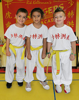 Ten Tigers Kung Fu Academy Tiger Cubs Classes