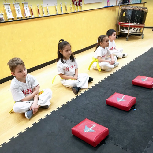 Ten Tigers Kung Fu Academy Tiger Cubs